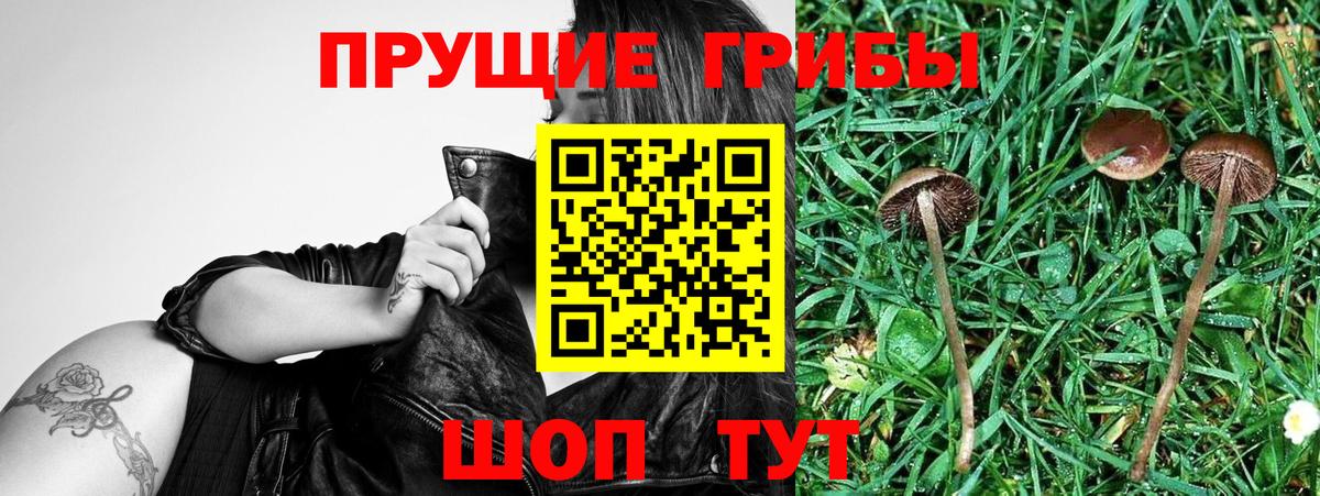 Галлюциногенные грибы ЛСД  Вход с VPN  Галлюциногенные грибы MAGIC MUSHROOMS  Майский 